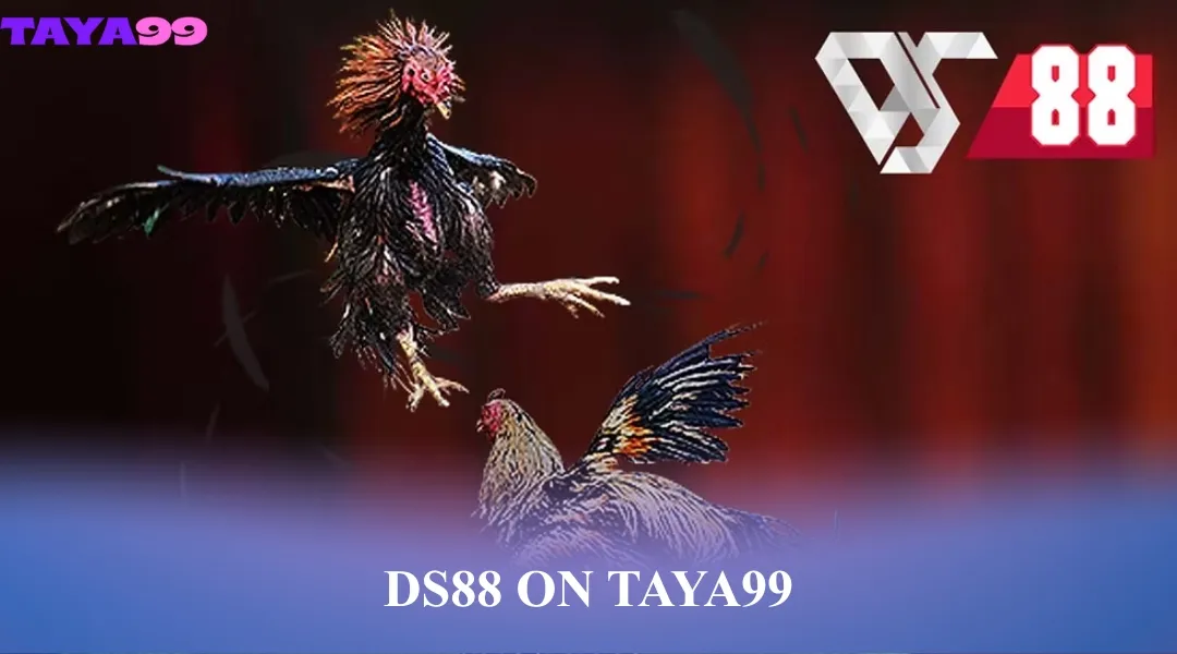DS88 on Taya99